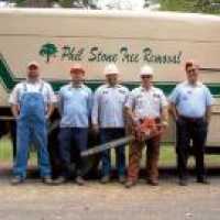 Phil Stone & Sons Tree Removal Logo