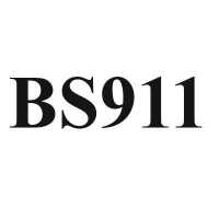 Basement Solutions 911 Logo