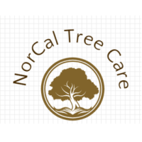 NORCAL Tree Care Logo
