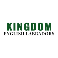 Kingdom English Labradors Logo