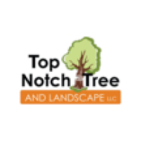 Top Notch Tree And Landscape Logo