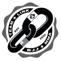 Team Link Ludlow MA - Brazilian Jiu Jitsu Logo