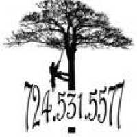 Cutting A Path To Heaven Tree Service Logo