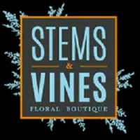 Stems & Vines Floral Boutique - Burnsville Logo