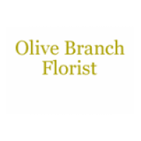 Olive Branch Florist LLC Logo