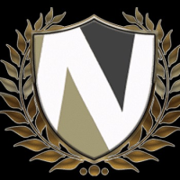 Napolin Accident Injury Lawyer Logo
