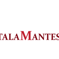 Talamantes Immigration Law Firm Logo