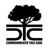 Commonwealth Tree Care Logo
