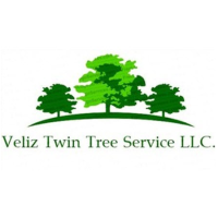 Veliz Twin Tree Service LLC. Logo