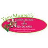 Trey  Marino's Central Florist & Gifts Logo