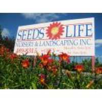 Seeds Of Life Logo