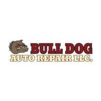Bulldog Auto Repair Logo
