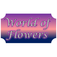 World of Flowers & Gift Logo