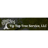 Tip Top Tree Service, LLC Logo