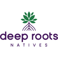 Deep Roots Natives Logo