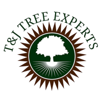 T&J Tree Experts Logo