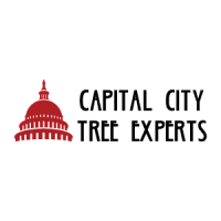Capital City Tree Experts - SavATree Logo