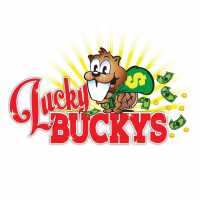 Lucky Buckys Casino Logo