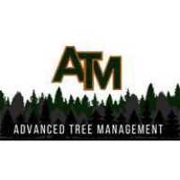 Advanced Tree Management LLC Logo