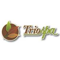 TrioSpa - Massage, Facials & Waxing / Trio Wellness Mgmt Logo