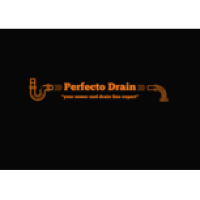 Perfecto Drain Logo