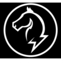 White Horse Electric Inc Logo