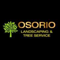 Osorio Landscaping and Tree Services Logo