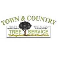 Town & Country Tree Service Logo