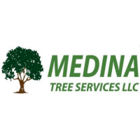 Medina Tree Services, LLC Logo
