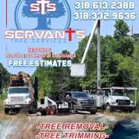 Servants Tree Services Logo