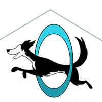 Cassidy Ingram Dog Training LLC Logo