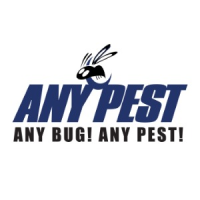 Any Pest Logo