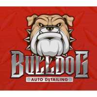 Bulldog Auto Detailing in Waco Logo