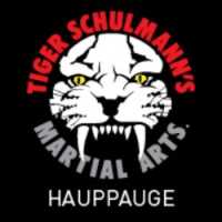 Tiger Schulmann's Martial Arts (Hauppauge, NY) Logo