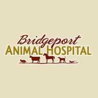 Bridgeport Animal Hospital PLLC Logo