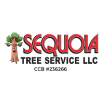 SEQUOIA TREE SERVICE Logo