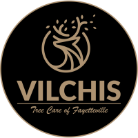 Vilchis Tree Care of Fayetteville Logo