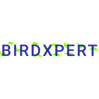 BIRDXPERT.com Logo