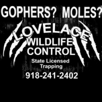 Lovelace Wildlife Control Logo
