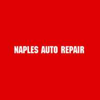 Naples Auto Repair, Inc. Logo