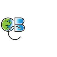 Carolina Bay Construction Logo