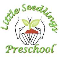 Little Seedlings Bilingual Preschool Logo