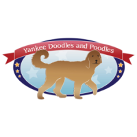 Yankee Doodles and Poodles Logo