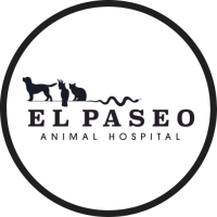 El Paseo Animal Hospital Logo