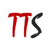 The Towing Service, LLC Logo