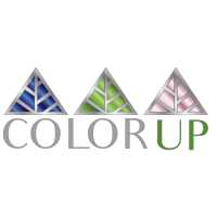 VXN Wellness (formerly Color Up) Logo