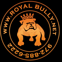Royal Bully Agency Logo