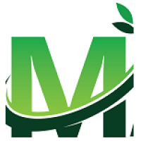 Lawn Masters Logo
