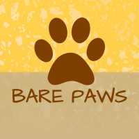 Bare Paws NYC Dog Walkers & Pet Sitters Logo