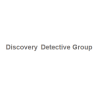 Discovery Detective Group Logo